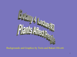 How Do Plants Affect People?