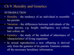 Ch 9: Heredity and Genetics