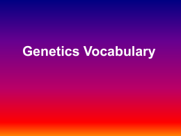 CP Bio Vocabulary PowerPoint