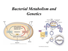 Bacterial Metabolism and Genetics