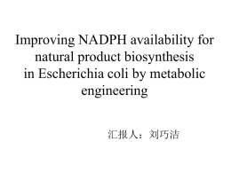 Improving NADPH availability for natural product biosynthesis in
