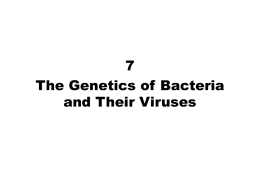 Ch7 Bacterial Genetics