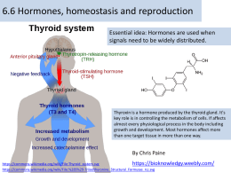 6.6 Hormones Homeostasis and Reproductionx