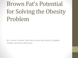 Brown Fat`s Potential for Solving the Obesity Problem