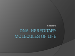 DNA: Hereditary Molecules of Life