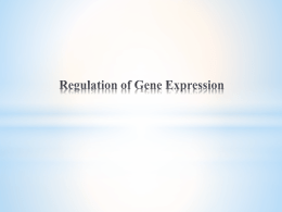 Regulation-of-Gene