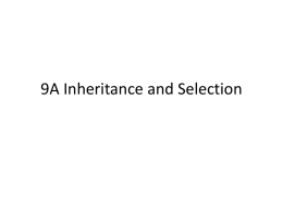 9A Inheritance and Selection