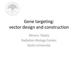Gene targeting: vector design and construction