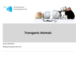 Transgenic Animals - Lungeninformationsdienst