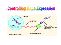 Controlling Gene Expression