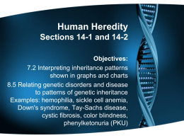 Human Heredity Section 14-1