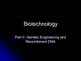 Biotechnology Genetic Engineering and Recombinant DNA