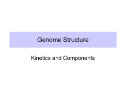 Genome Structure - Pennsylvania State University