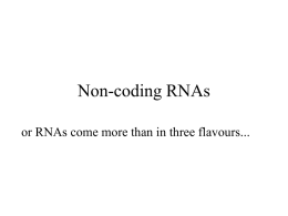 Non-coding RNAs - Uppsala University