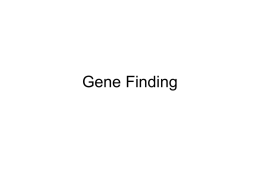 Gene Finding - Brigham Young University