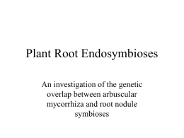 Plant Root Intracellular Symbioses