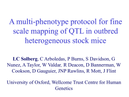A multi-phenotype protocol for fine scale mapping of QTL