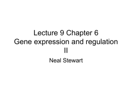 Gene regulation - Department of Plant Sciences