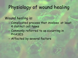 Tissue bioengineering: a new challenge for wound healing