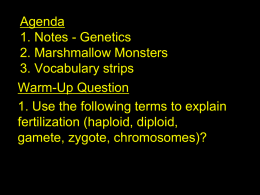 Agenda 06/12/06 1. Notes - Genetics 2. Practice Problems 3