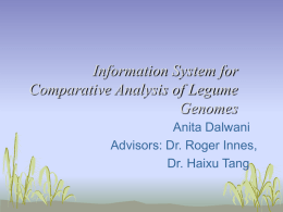Information System for Comparative Analysis of Legume
