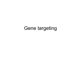 Chapter 1 Gene targeting, principles,and practice in
