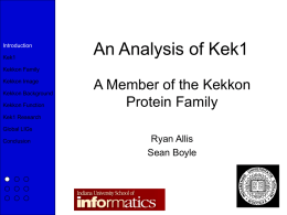 An Analysis of Kek1 - Indiana University