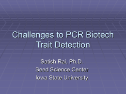 Real Time PCR Testing for Biotech Crops: Issues