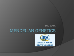 Mendelian Genetics - Biology Department