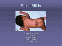 Spinal Bifida - University of Wisconsin Animal Sciences