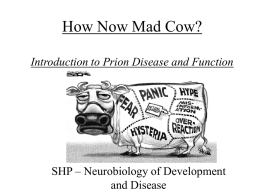 Introduction to Prion Disease and Function
