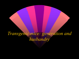 Transgenic mice: generation and husbandry - univ