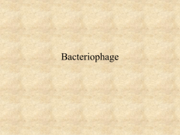 Bacteriophage - Microbiology Book