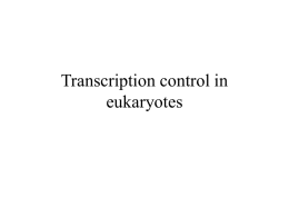 Transcriptional control in eukaryotes