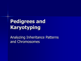 Karyotyping and Pedigrees {PowerPoint}