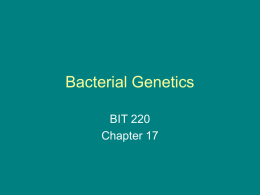 Bacterial Genetics - MCCC Faculty & Staff Web Pages