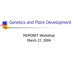 Plant Development - University of Missouri