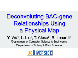 DECONVOLUTING THE BAC-GENE RELATIONSHIPS USING A PHYSICAL MAP