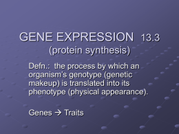 PROTEIN SYNTHESIS - Gull Lake Community Schools / Overview