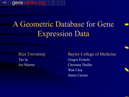 Gene expression atlas of the mouse brain