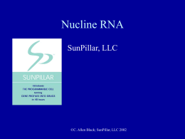 Nucline RNA and Its Uses