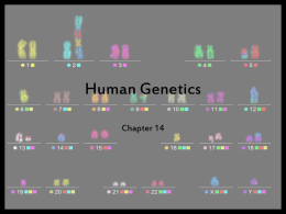 Human Genetics - Castle High School