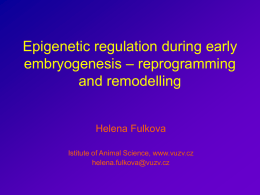 Epigentic regulation during early embryogenesis