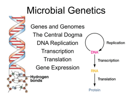 Microbial Genetics - Pennsylvania State University