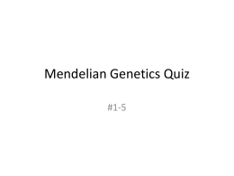 Mendelian Genetics Quiz