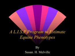 A L.I.S.P Program to Estimate Equine Phenotypes