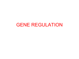 GENE REGULATION - IUST Dentistry