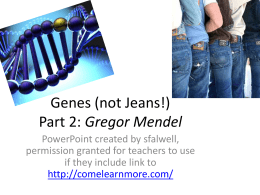 Genes (not Jeans!) Part 1: Gregor Mendel