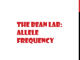 The Bean Lab: Allele Frequency