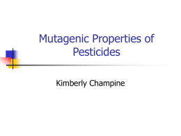 Mutagenic Properties of Pesticides